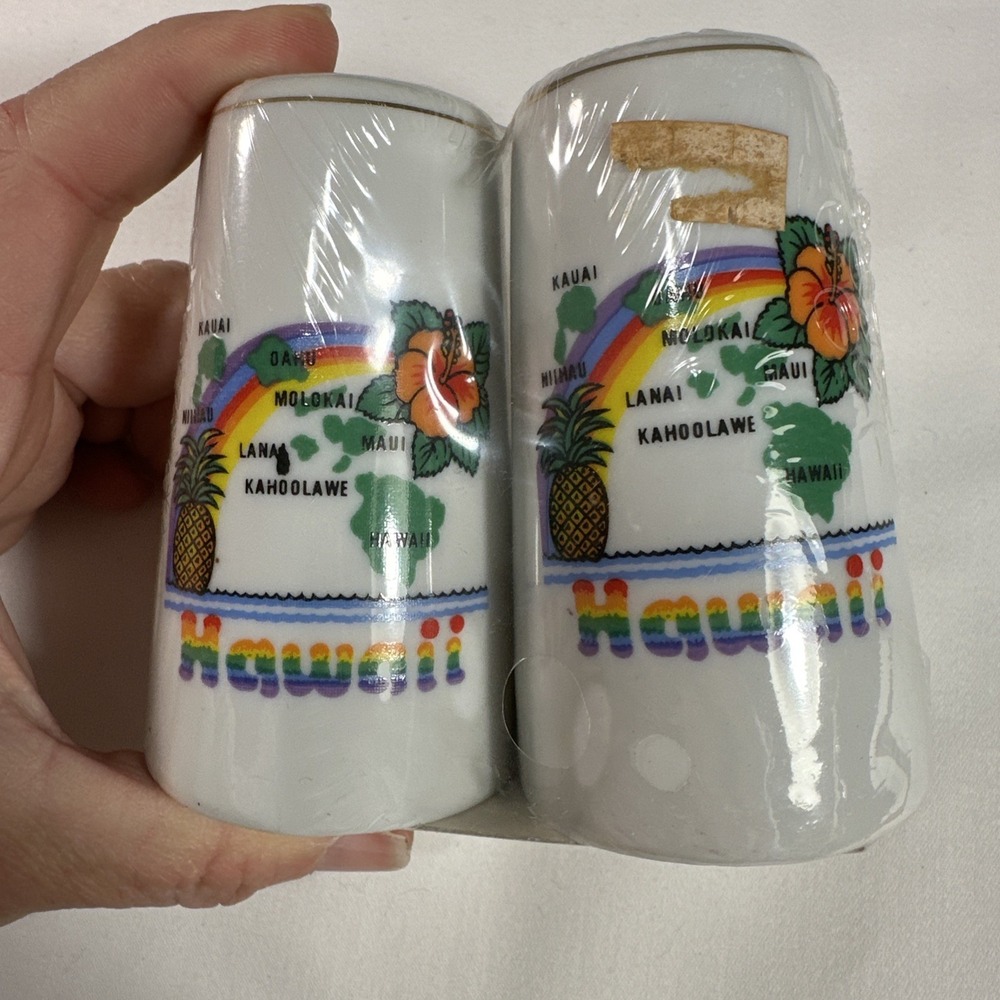 Vintage 80's Mid Century Hawaii Salt and Pepper Shakers Trinket Aloha Rainbow
